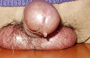 XXX یکی از دوستان تماشا می کند که ينيكها جامد یک دختر برهنه در عینک آفتابی گربه را با قایق خودارضایی می کند