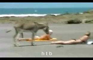 XXX روی صندلی ، یک سكس كويتي جامد زن بالغ با موهای خاکستر ، پاها را در جوراب ساق بلند می کند